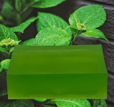 MINT SOAP - DCHOUDENS SOAP GALLERY